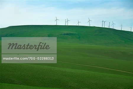 Éoliennes sur la colline de prairie, la Mongolie intérieure, Chine