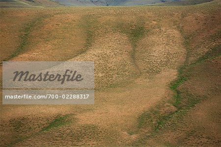 Rolling Grassland Hills, Inner Mongolia, China
