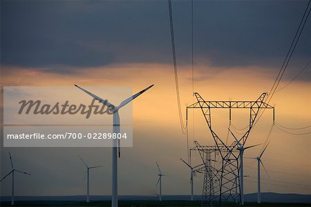 Windpark in Abaga Banner, Ximeng Huitengha, Xilin Hot, Innere Mongolei, China