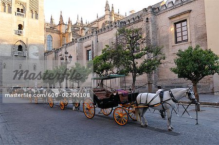 Ross und Wagen auf Straße, Sevilla, Spanien