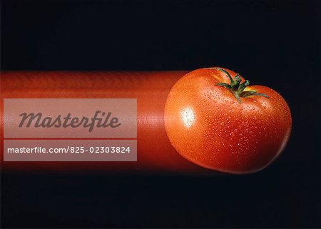 rasante Tomaten