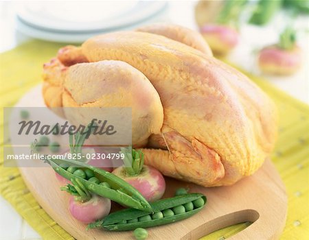 chicken and spring vegetables