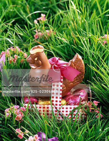 chocolate chicken in grass