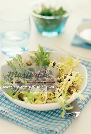 curly endive and beef salad