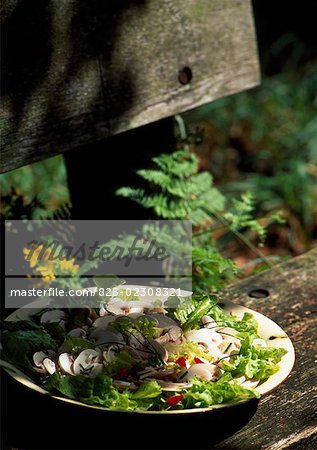 Salade aux champignons