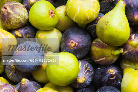 Close-up of Figs