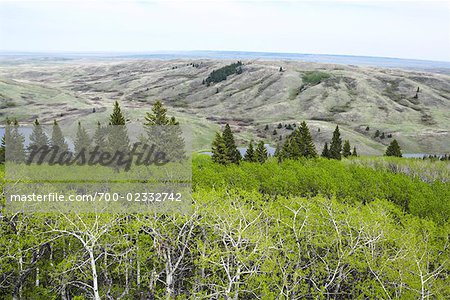 Overview of Cypress Hills Interprovincial Park, Saskatchewan, Canada