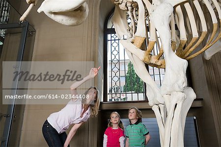 Mutter und Kinder betrachten ein Elefant-Skelett