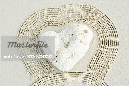 Corail en forme de coeur de sable ratissé