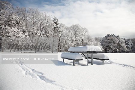 Schneebedeckte Bäume und Picknick-Tisch im Park in Toronto, Ontario, Kanada