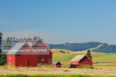 Bâtiments de ferme sur terrain, Palouse, Idaho, États-Unis