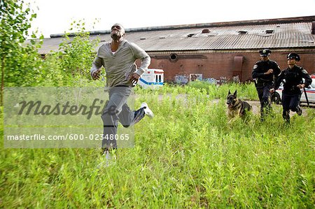 Policiers et Police Dog Chasing soupçonnent à travers champ