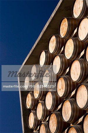 Wine Barrels at Francisco Undurraga, Maipo Valley, Santiago, Talagante, Chile