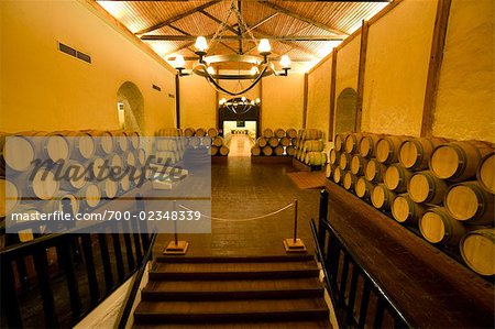 Wine Cellar in Maipo Valley, Santiago, Talagante, Chile