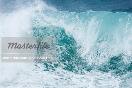 Puissantes vagues déferlantes de la mer