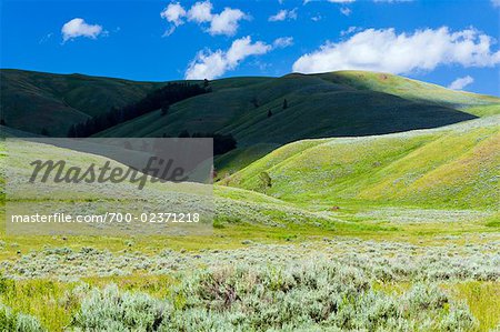 Lamar Valley, Yellowstone National Park, Wyoming, USA