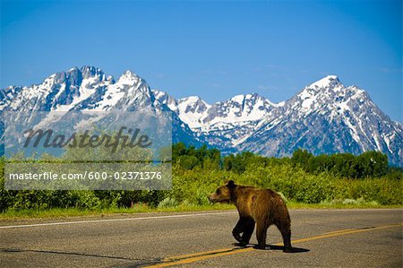 Montagnes de Grand Teton, Wyoming, USA