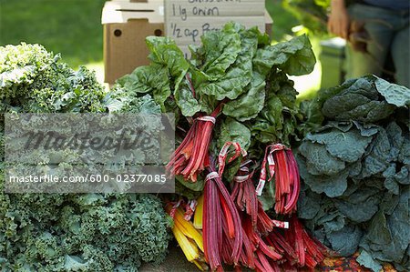 Mangold zu verkaufen bei Bio Bauernmarkt