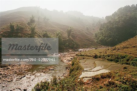 Creek and Rice Paddies, Sa Pa, Vietnam