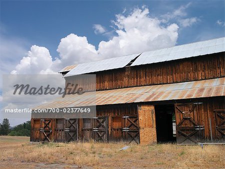 Old Barn in Field, Northern California, California, USA