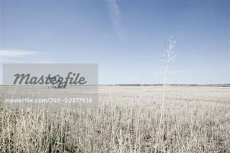 Pump Jack in Prairie Feld, Alberta, Kanada Pump Jack in Prairie Feld, Alberta, Kanada