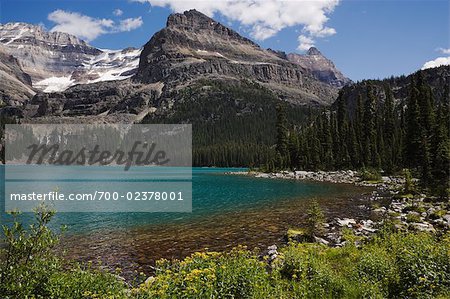 Lac o ' Hara et montagnes, le Parc National Yoho, en Colombie-Britannique, Canada