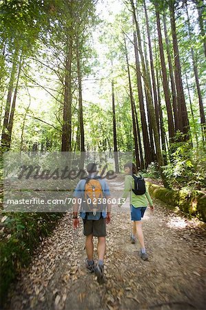 Paar Walking am Pfad im Wald, Santa Cruz, Kalifornien, USA