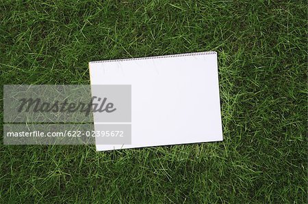 Blank Notebook on Grass