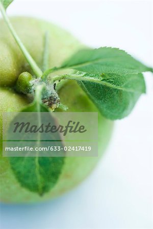 Green apple and leaves, close-up, overhead view