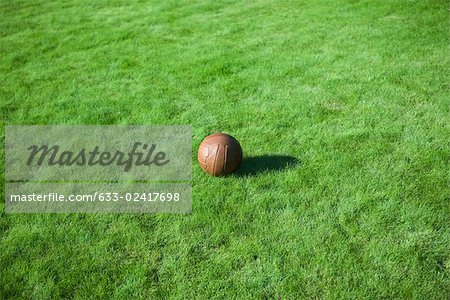 Boule sur l'herbe