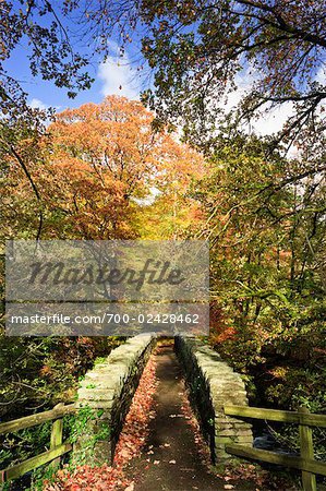 Stone Bridge, Ambleside, Cumbria, Lake District, England