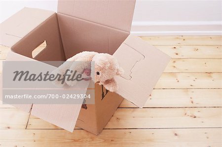 Teddy Bear on Edge of Cardboard Box