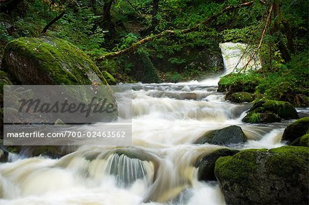 Fluss und Wasserfall im Wald, Brecon-Beacons-Nationalpark, Carmarthenshire, Wales