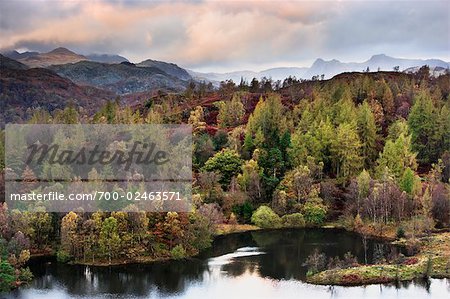 Autumn, Tarn Hows, Lake District,Cumbria, England