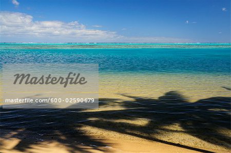Ombre des palmiers dans la lagune, Moorea, Polynésie française