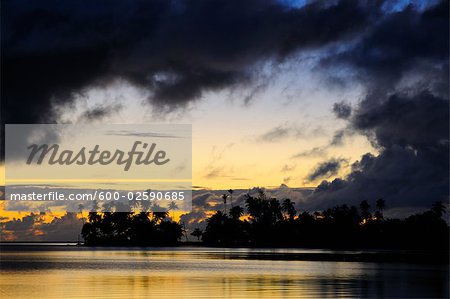 Silhouettes d'arbres au lever du soleil, Raiatea, Polynésie française