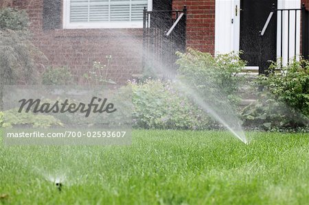 Sprinkler Watering Lawn