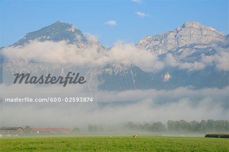 Brouillard et montagnes, Autriche