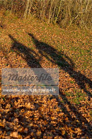 Shadows cast by two people onto ground