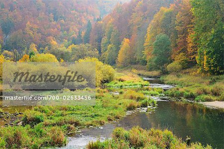 Danube River, Bade-Wurtemberg, Allemagne