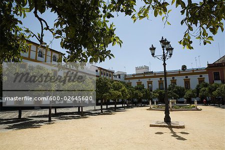 Plaza de San Francisco, Séville, Andalousie, Espagne