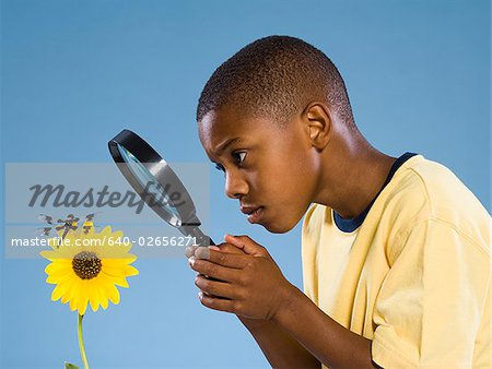 Child looking at a flower and a dragonfly.