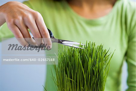 Woman trimming grass with scissors.