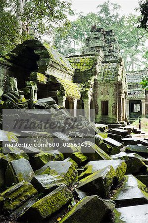 Ta Prohm Temple, Angkor, Cambodia