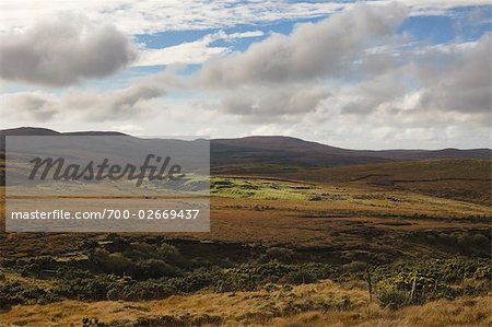 Vue d'ensemble des pâturages, Connemara, County Galway, Irlande