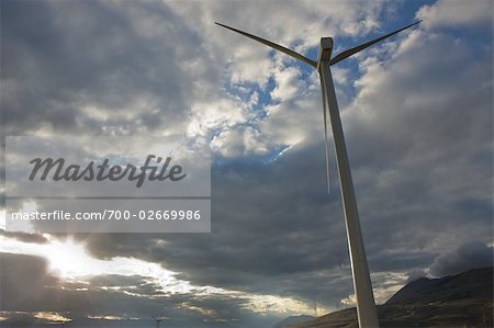 Wind Turbine