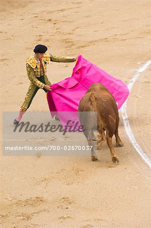 Stierkampf, Plaza de Toros de Las Ventas, Madrid, Spanien