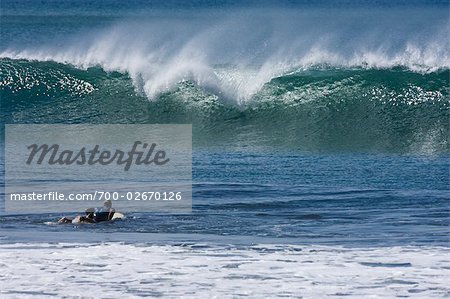 Surfer paddeln aus Wellen am Playa Tamarindo, Costa Rica