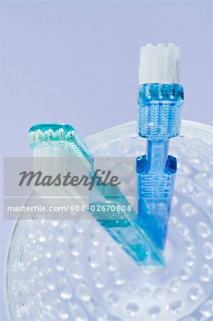 Two Toothbrushes in a Glass