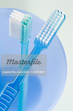 Two Toothbrushes in a Glass